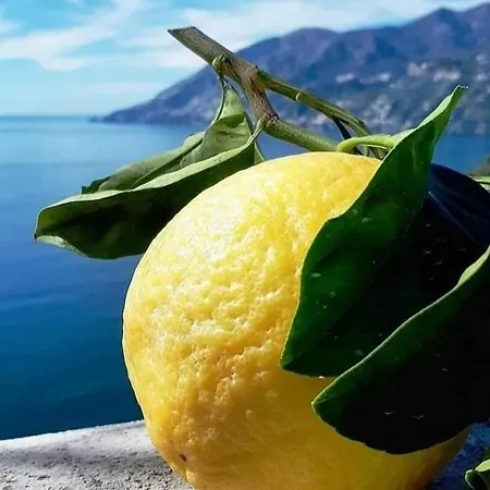 Sicilia Bedda 1 * Isola delle Femmine